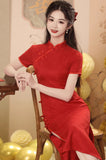 Paola Next Level Qipao Cheongsam