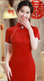 Paola Next Level Qipao Cheongsam