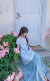 Pansy Light Blue Embroidered Cheongsam Dress