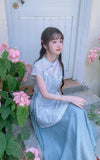 Pansy Light Blue Embroidered Cheongsam Dress