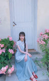 Pansy Light Blue Embroidered Cheongsam Dress