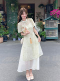 Eleonora 2-Piece Modern Cheongsam Overlay Set
