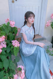 Pansy Light Blue Embroidered Cheongsam Dress