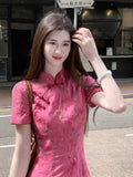 Vera Lace Whisper Qipao Cheongsam