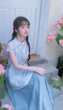 Pansy Light Blue Embroidered Cheongsam Dress