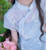 Pansy Light Blue Embroidered Cheongsam Dress